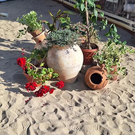 Arena I By The Sea *