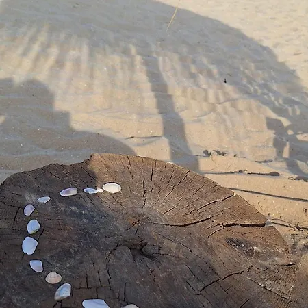 Apartment Arena I By The Sea