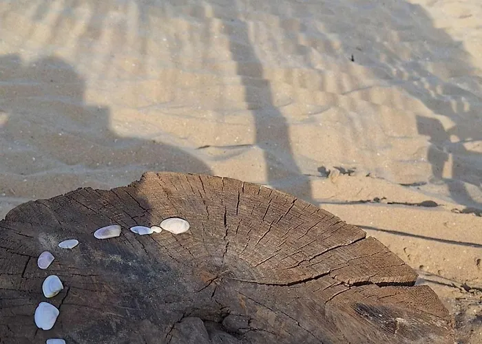 Appartamento Arena I By The Sea